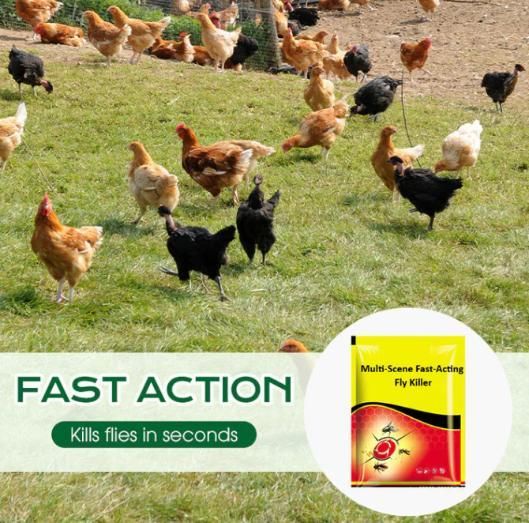 Multi-Scene Fast-Acting Fly Killer ! Buy 1 Get 1 Free 🔥🔥