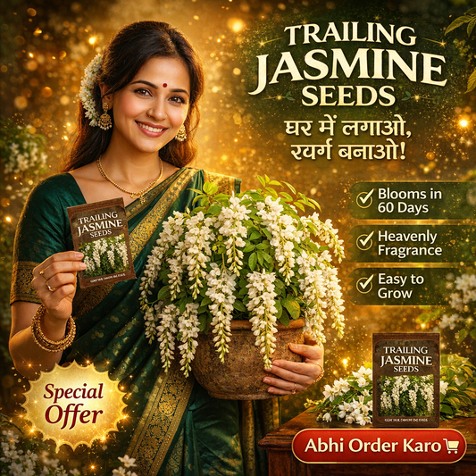 🌱BUY 1 GET 1 FREE Trailing Jasmine Seeds – Perennial Blooms & Fragrant Garden Elegance 🌸 With Plant Growth Supplement